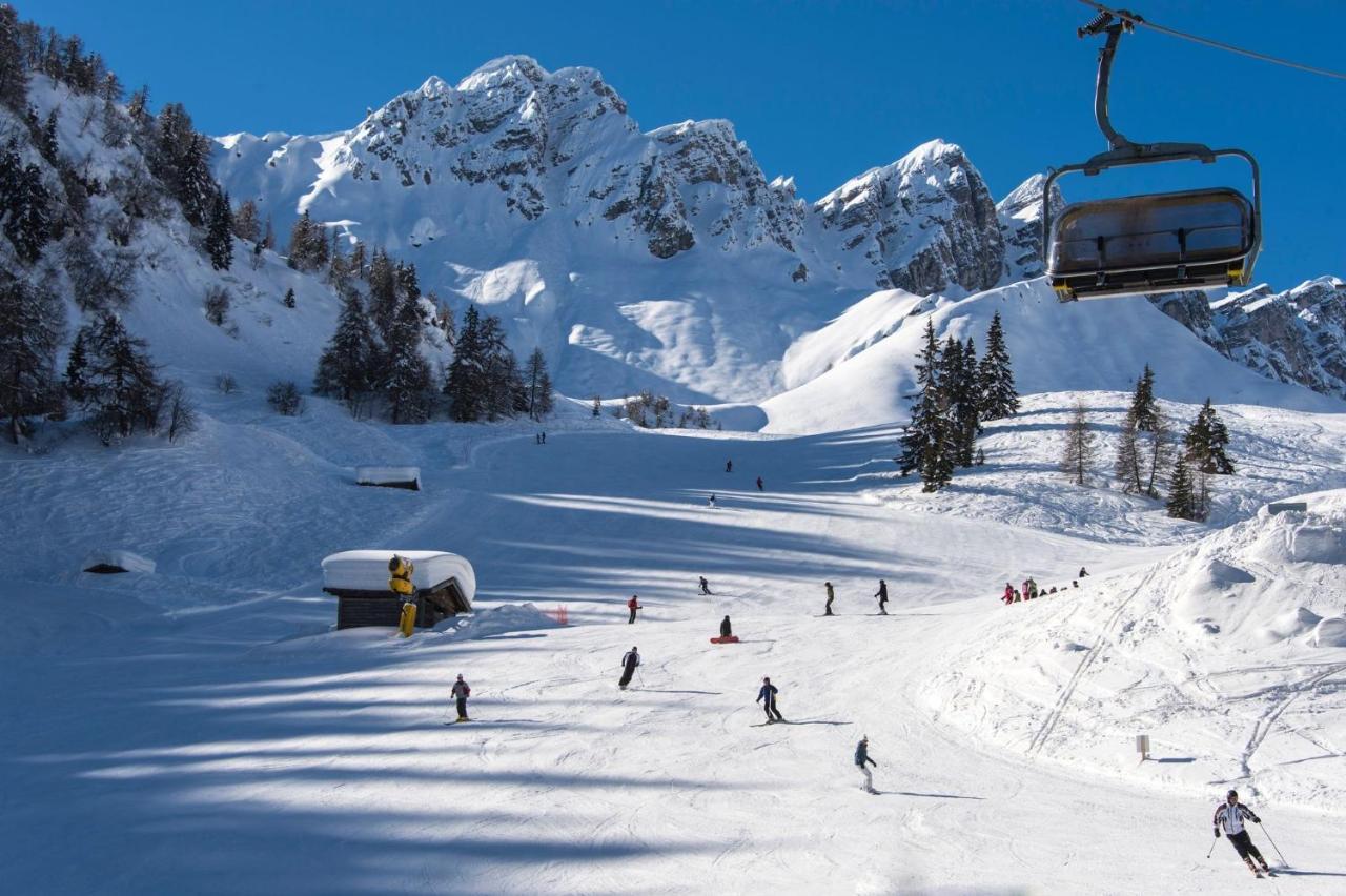 Larch Campo di Trens