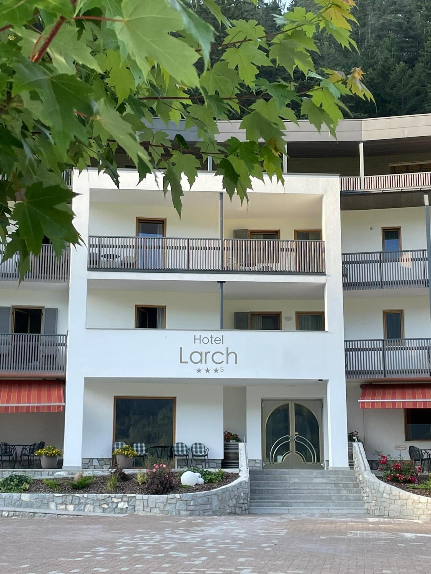 Larch
