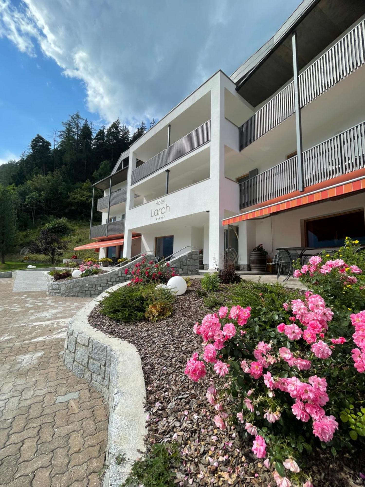 Hotel Larch 3*