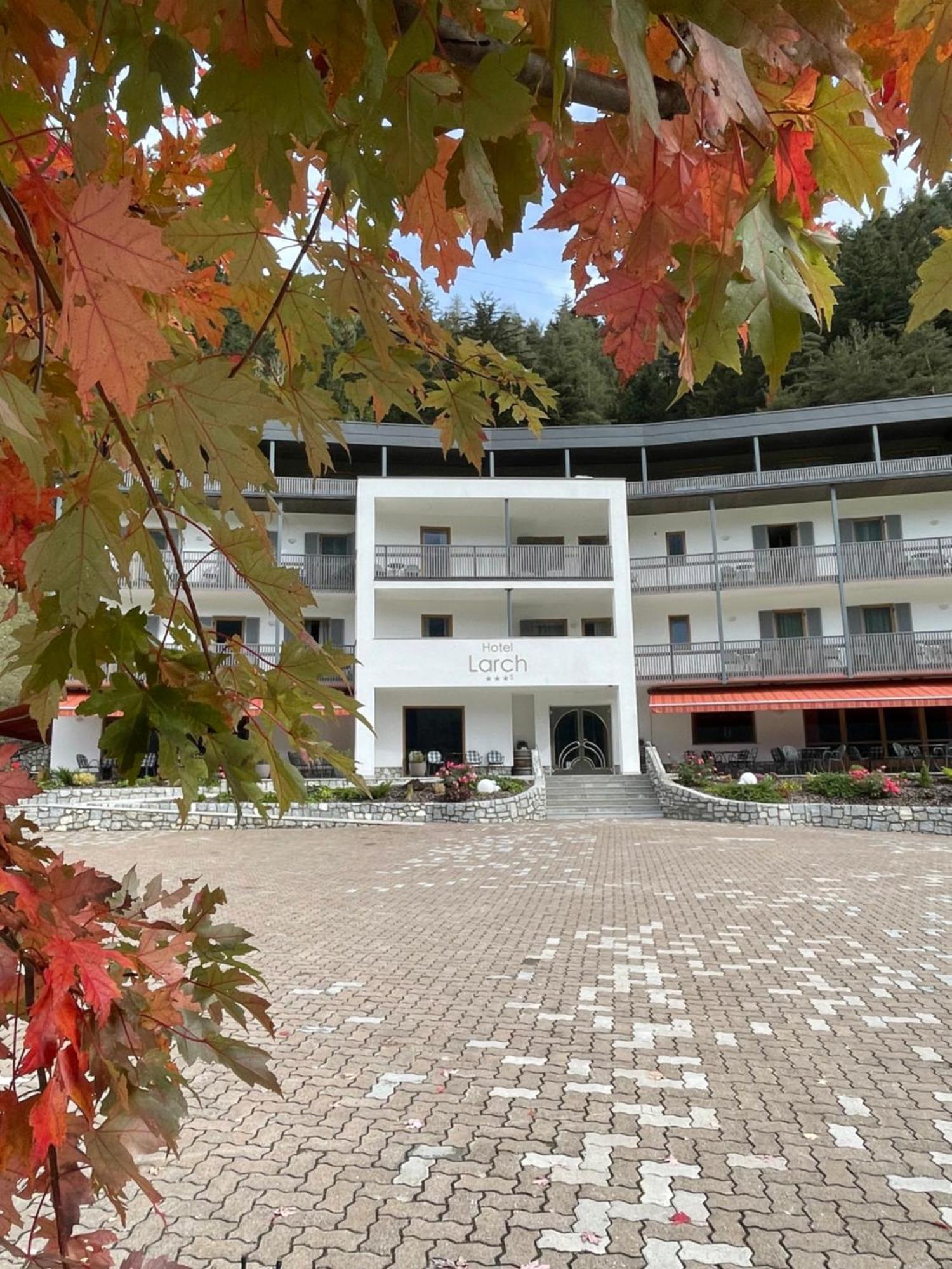 Larch Hotel 3*
