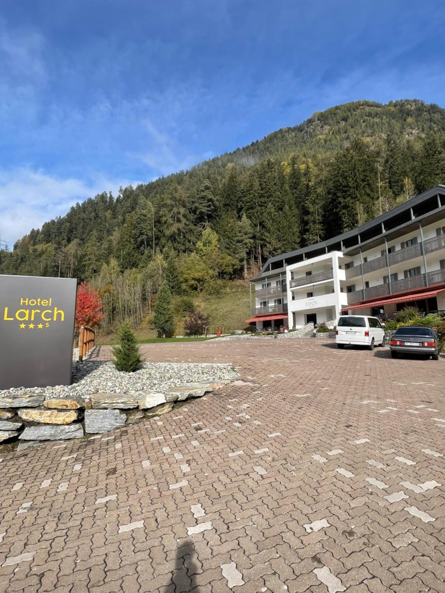 Larch 3*