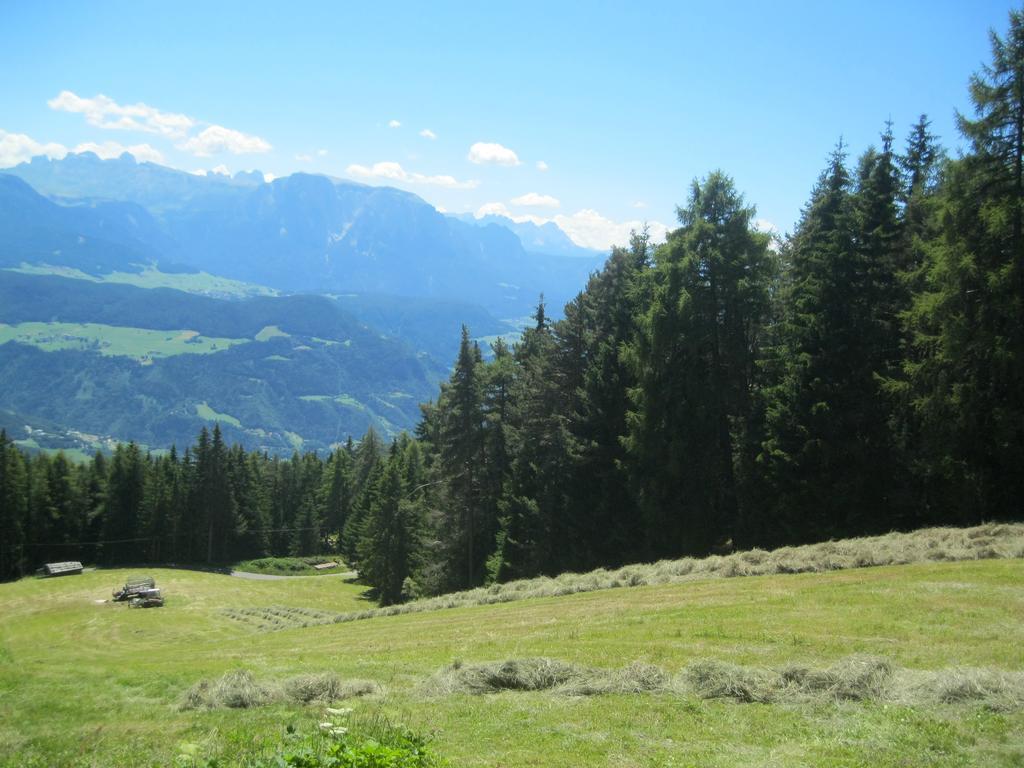 Hotel Larch