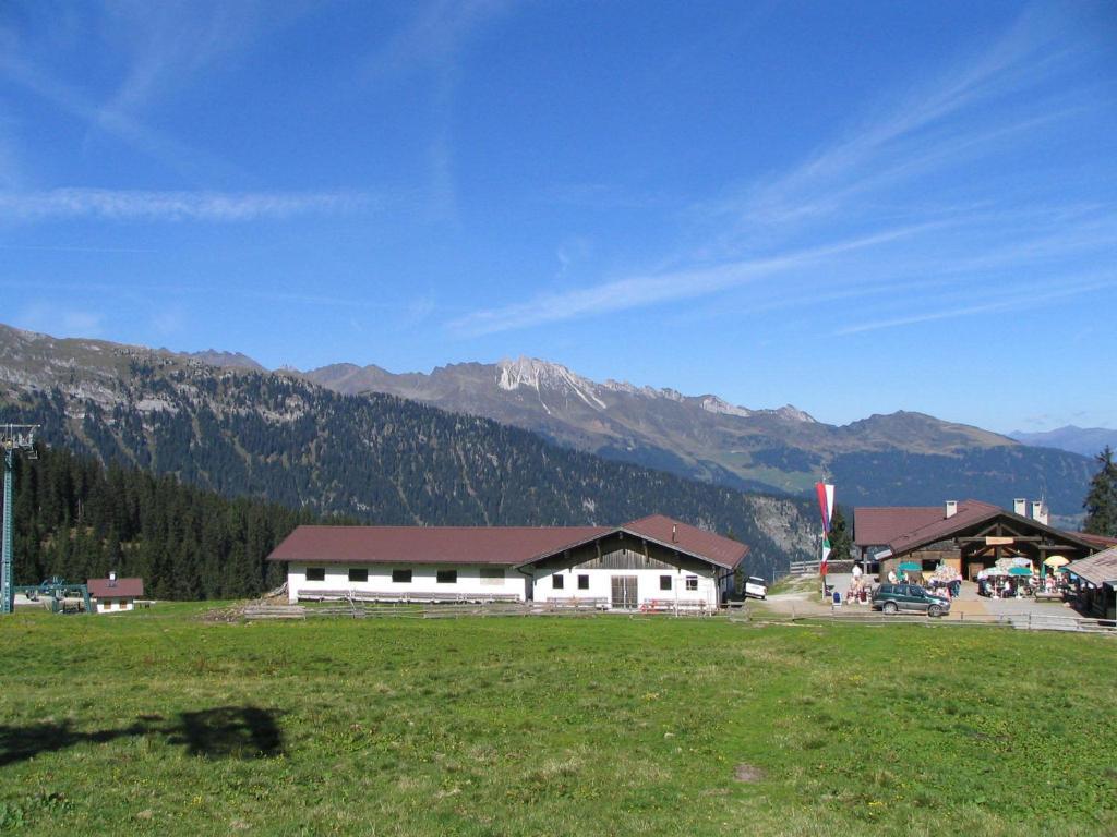 Larch 3* Campo di Trens